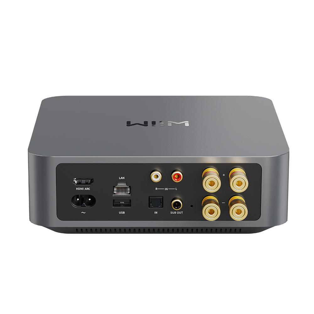 Product image of the rear panel of a WiiM Amp featuring HDMI input, power input, LAN / Ethernet socket, USB socket, RCA Input Pair, Optical in, Sub Out and Speaker terminals