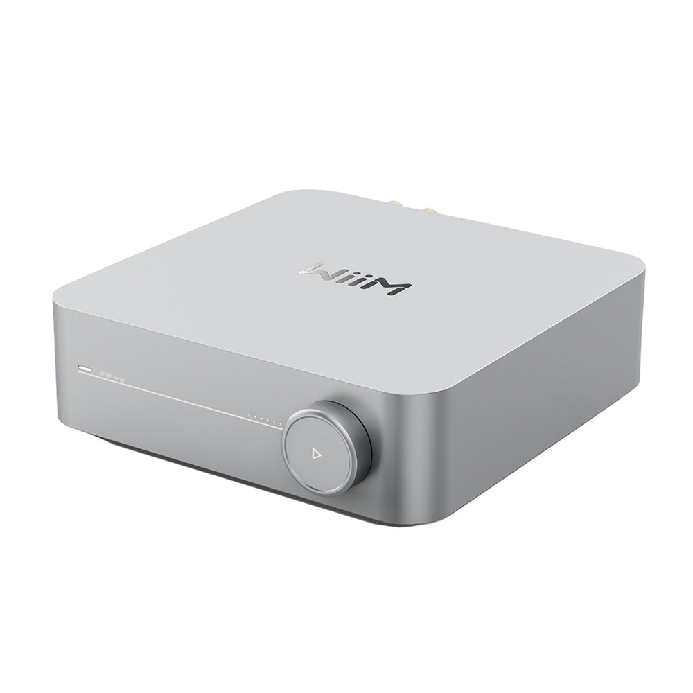 Product image of a WiiM Amp in Silver