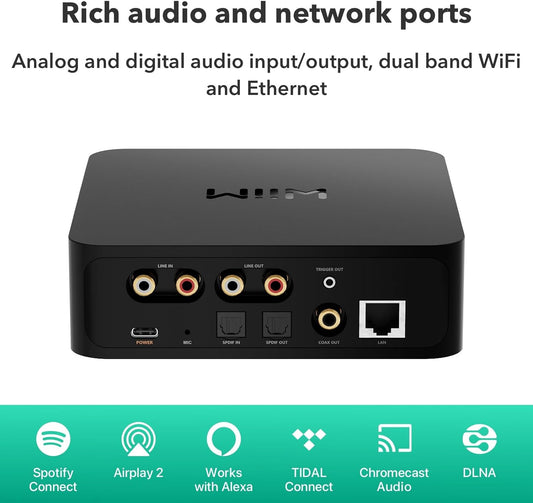 Product image of the rear panel of a WiiM Pro Plus featuring an RCA Input pair, RCA Output pair, USB-C power input, Optical in, Optical Out, Coaxial input and a LAN ethernet port.